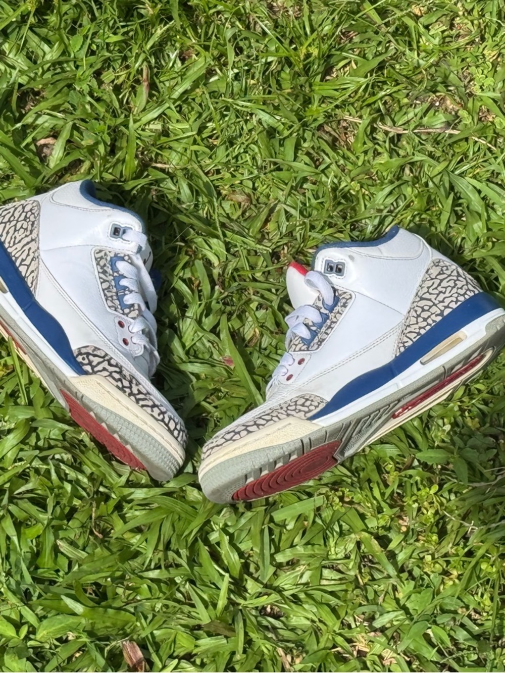 White and Navy Retro Elephant Print Sneakers